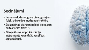 Presentations 'Jaunas valodas apguves ietekme uz smadzeņu struktūru pieaugušajiem', 14.