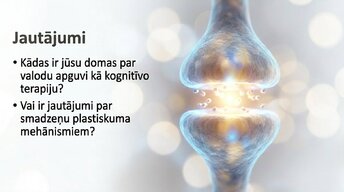 Presentations 'Jaunas valodas apguves ietekme uz smadzeņu struktūru pieaugušajiem', 16.