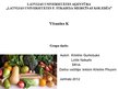 Presentations 'Vitamīns K', 1.