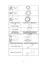 Summaries, Notes 'Ledāja reljefa vidējformu morfoloģiskā dešifrēšana pēc horizontālēm', 3.