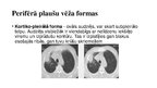 Presentations 'Perifērs plaušu vēzis', 12.