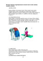 Research Papers 'Speciālas lokanības attīstība 5-6 gadu vecuma bērniem vingrošanas nodarbībās', 20.