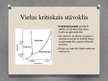 Presentations 'Vielu fizikālās īpašības', 21.