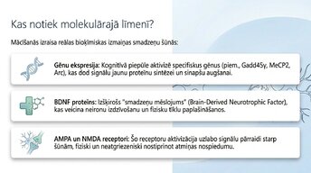 Presentations 'Kā ikdienas mācīšanās paradumi stiprina neiroplastiskumu', 3.