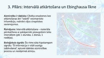 Presentations 'Kā ikdienas mācīšanās paradumi stiprina neiroplastiskumu', 8.