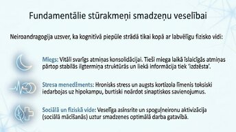 Presentations 'Kā ikdienas mācīšanās paradumi stiprina neiroplastiskumu', 11.
