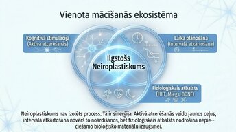 Presentations 'Kā ikdienas mācīšanās paradumi stiprina neiroplastiskumu', 12.