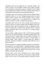 Essays 'Ugunsdrošības sistēma Latvijā', 2.