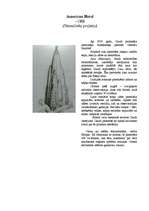 Research Papers 'Antonio Gaudi', 13.