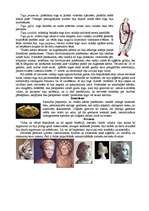 Research Papers 'Senās Romas apģērbs', 5.