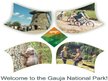 Presentations 'Gauja National Park', 1.