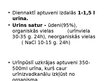 Presentations 'Urinīzvadoragānu sistēma', 14.