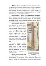 Research Papers 'Senās Ēģiptes mitoloģija, reliģija, māksla, arhitektūra un zinātne. Pirmā daļa', 30.