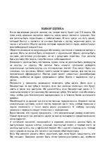 Research Papers 'Щенок', 3.