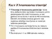 Presentations 'X hromosomas trisomija', 2.
