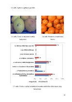 Research Papers 'Citrusaugļu kvalitāte Jelgavas lielveikalos', 24.