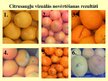 Research Papers 'Citrusaugļu kvalitāte Jelgavas lielveikalos', 43.