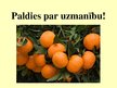 Research Papers 'Citrusaugļu kvalitāte Jelgavas lielveikalos', 56.