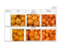 Research Papers 'Citrusaugļu kvalitāte Jelgavas lielveikalos', 85.