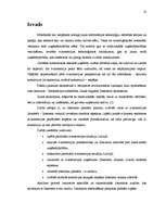 Term Papers 'Elektroniskās komercijas ieviešanas un attīstīšanas (mobilās komercijas ieviešan', 10.
