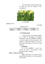 Research Papers 'Mārketinga izpēte uznēmumā SIA "Afrodite"', 10.