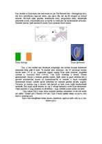 Research Papers 'Īrija', 2.