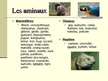 Presentations 'Zoo de la Palmyre', 4.