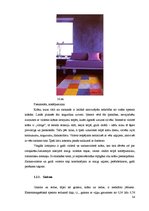 Term Papers 'Funkcionālo telpu krāsu noformējums atkarībā no cilvēku vecuma', 34.