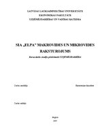 Research Papers 'SIA "Elpa" makrovides un mikrovides raksturojums', 1.
