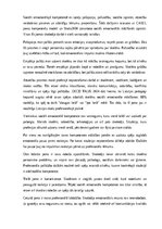Essays 'Mana kā skolotāja sociāli emocionālā kompetence', 16.