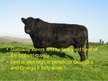 Presentations 'Characterization of Beef Cattle Breeds', 6.