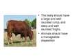 Presentations 'Characterization of Beef Cattle Breeds', 11.
