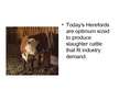 Presentations 'Characterization of Beef Cattle Breeds', 13.
