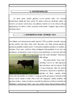 Research Papers 'Ivara Selecka dokumentālo filmu aktualitāte mūsdienās', 17.