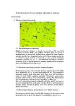 Summaries, Notes 'Dzelzs oglekļu sakausējumi', 2.