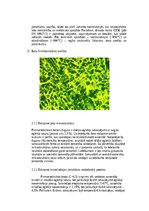 Summaries, Notes 'Dzelzs oglekļu sakausējumi', 3.