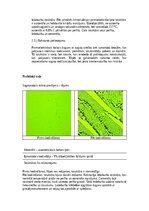 Summaries, Notes 'Dzelzs oglekļu sakausējumi', 4.