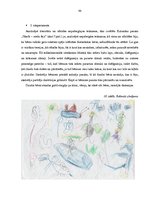 Term Papers 'Radošās darbības veicināšanas iespējas vizuālās mākslas nodarbībās sākumskolas 1', 84.
