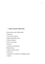 Summaries, Notes 'Biznesa plāna izstrādes vadlīnijas', 6.