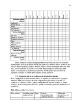 Summaries, Notes 'Biznesa plāna izstrādes vadlīnijas', 19.