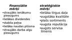 Summaries, Notes 'Biznesa plāna izstrādes vadlīnijas', 46.