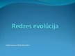 Presentations 'Redzes evolūcija', 1.