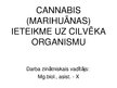 Essays 'Marihuanas ietekme uz centrālo nervu sistēmu', 19.