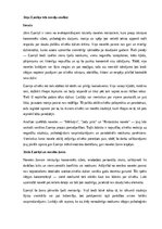Summaries, Notes 'Jāņa Ezeriņa trīs noveļu analīze', 1.