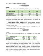 Practice Reports 'Finanšu vadības prakses atskaite', 28.