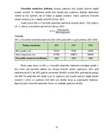 Practice Reports 'Finanšu vadības prakses atskaite', 29.