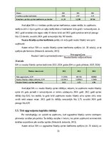 Practice Reports 'Finanšu vadības prakses atskaite', 33.