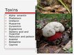 Presentations 'Mushroom Poisoning', 6.