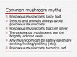 Presentations 'Mushroom Poisoning', 10.