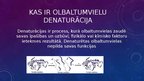 Presentations 'Olbaltumvielu denaturācija', 3.